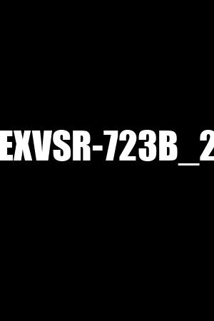 EXVSR-723B_2