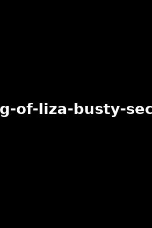 making-of-liza-busty-secretary