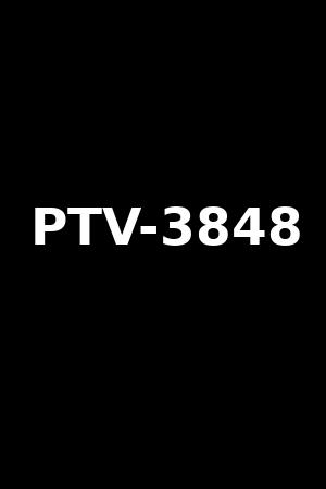 PTV-3848