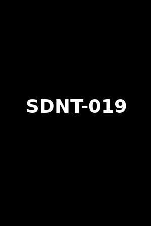 SDNT-019