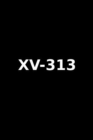 XV-313